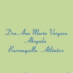 ANA MARIA VERGARA GUERRERO abogado